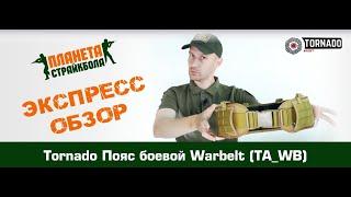 Обзор варбелта TA_WB от Tornado