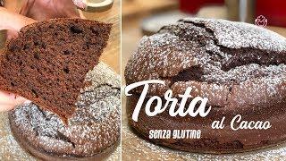 Torta al Cacao Senza Glutine e Senza Lattosio con Pochissimi Ingredienti | VivoGlutenFree