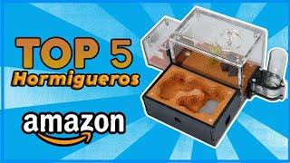 Granja de Hormigas de AMAZON! Los mejores Hormigueros de Amazon