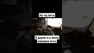 #short #shortvideo #сталкер #юмор #прикол #ржака #ржачныевидео