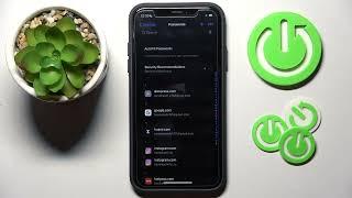 How to Find Saved Password on iPhone? | Check Forgotten Password on iOS