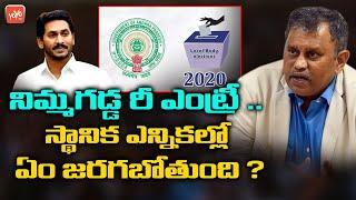 Nimmagadda Ramesh Kumar reinstated as Andhra Pradesh Election Commissioner | YOYO TV Channel