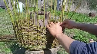 Плетение ивовой хозяйственной корзины / Weaving Willow Utility Basket