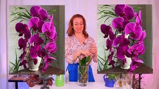  Полив орхидей  в вазе /открытой системе (выращивания без субстрата) мой опыт и мои наработки