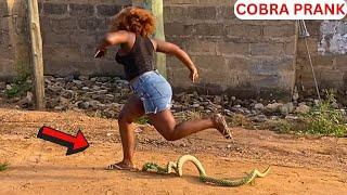  Giant Snake Prank | Bushman Prank. Prank Ghana.