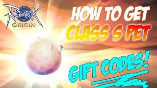 Ragnarok Origin Global Gift Codes | How to get class S Pet