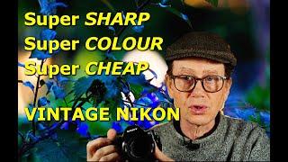 So Sharp You'll Cut Yourself! Super Sharp VINTAGE NIKKOR!