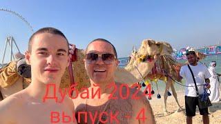 Дубай 2024 январь  выпуск - 4   Swissotel Al Murooj Dubai  5*ОАЭ, Дубай