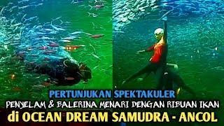 WOW !! Penyelam dan Balerina Menari Dengan Ribuan Ikan di Ocean Dream Samudra Ancol