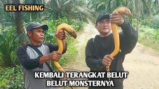 SPOT LEGEND TERBUKTI SARANGNYA BELUT BELUT MONSTER