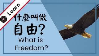 Learn "freedom" in Chinese: "What is Freedom" Lyrics Explained