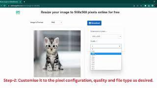 Resize your image to 500x500 pixels online for free Tutorial