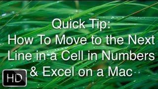 Quick Tip - How To Move to the Next Line in a Cell in Numbers & Excel on a Mac