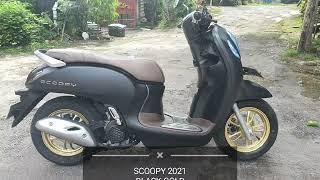 Scoopy 2021 Black Gold Prestige Stiker Black Matte