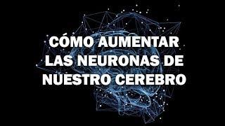 Cómo Aumentar La Producción De Neuronas De Nuestro Cerebro