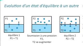 E-learning Plongée Niveau 4 - Dissolution des gaz