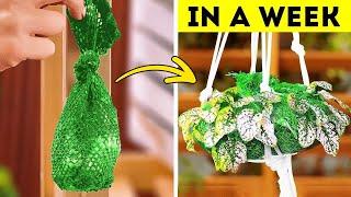 Genius Gardening Hacks: 101 Simple Hacks for Every Gardener! 