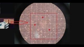 Hemocytometer - Counting of cells - Amrita University