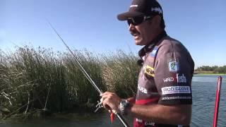 Crankin' at the Cal Delta with Jared Lintner & Ish Monroe - Part 2 - Tackle Warehouse VLOG #207