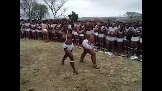 Nomkhubulwane  | South Africa Zululand Zulu dancing | The goddess the festival and virginity testing