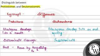 Distinguish between Protostomes and Deuterostomes.