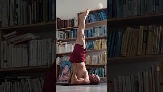 Wisdom of shoulderstand / Sarvangasana without blasting the neck. #shoulderstand #yoga