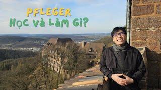 #052 Làm và học gì khi du học nghề ngành điều dưỡng (Pfleger) - Rewiew Vlog 002