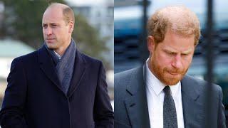 Prince William ‘first and foremost’ concerned with Prince Harry being a ‘privacy threat’