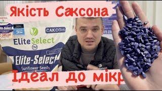 Якість саксона - ідеал до мікрона. Я покажу вам, як повинна виглядати доробка насіння !!!