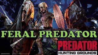 FERAL PREDATOR IS HERE ON PREDATOR HUNTING GROUNDS ! GAMEPLAY + STATS SHOWCASE NEW UPDATE XBOX PC