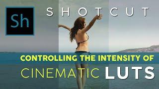 How to Control the Intensity of LUTs on Shotcut When Applying a Cinematic Look to Your Videos