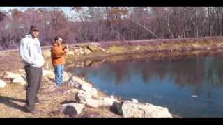 Marshall Street Disc Golf Demonstrates the Golden Retriever