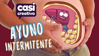 Tus Órganos Cuando Haces Ayuno Intermitente | Casi Creativo