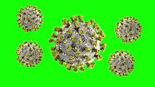 Coronavirus Symptoms - Green Screen Animated Effects + Download