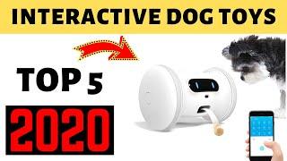 Best Interactive Dog Toys 2020  | Top 5 Dog Toys Amazon