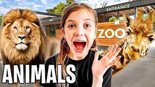 Animals!