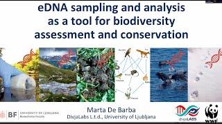 eDNA sampling and analysis as a tool for biodiversity monitoring and conservation | Marta De Barba