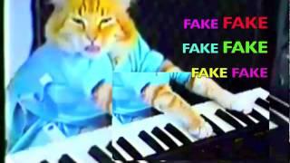 Keyboard Cat is Fake