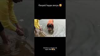 ganpati bappa morya 2023   full vlog comments mai pin h dakhna our pyar dena 