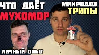 Что дает Мухомор? Микродозинг. Трип.  Смерть Эго.