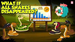 What If All Snakes Disappeared? | The Importance of Snakes in the Ecosystem | The Dr. Binocs Show