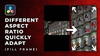 Adapt videos to the aspect ratio of your project in Davinci Resolve
