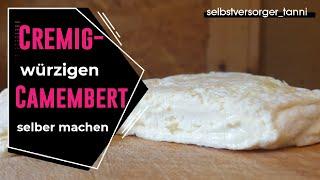 DIY camembert cheese  yourself | Camembert Production | make cheese yourself | raw milk cheese