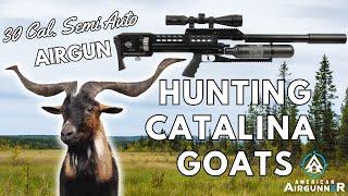 BIG GAME .30 Caliber AIRGUN HUNT | American Airgunner