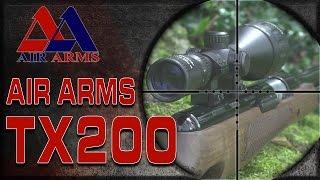 Air Arms TV - Airgun Hunting: Feral Pigeon Shooting