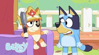 Gran sonrisa de Bluey | Bluey Español Canal Oficial