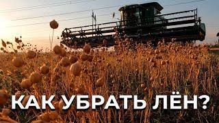 Уборка льна началась с сюрпризов. Лен масличный по Strip-Till