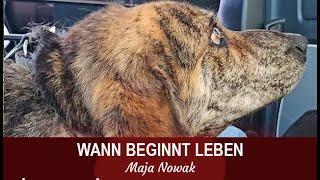 WANN BEGINNT LEBEN? - Eine neue Reihe über das Leben - Teil 1 - von Maja Nowak