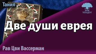 Две души еврея, или чужая душа — потёмки. Рав Цви Вассерман