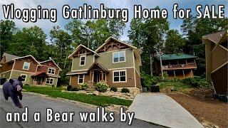 House for SALE Gatlinburg and a Bear walks by